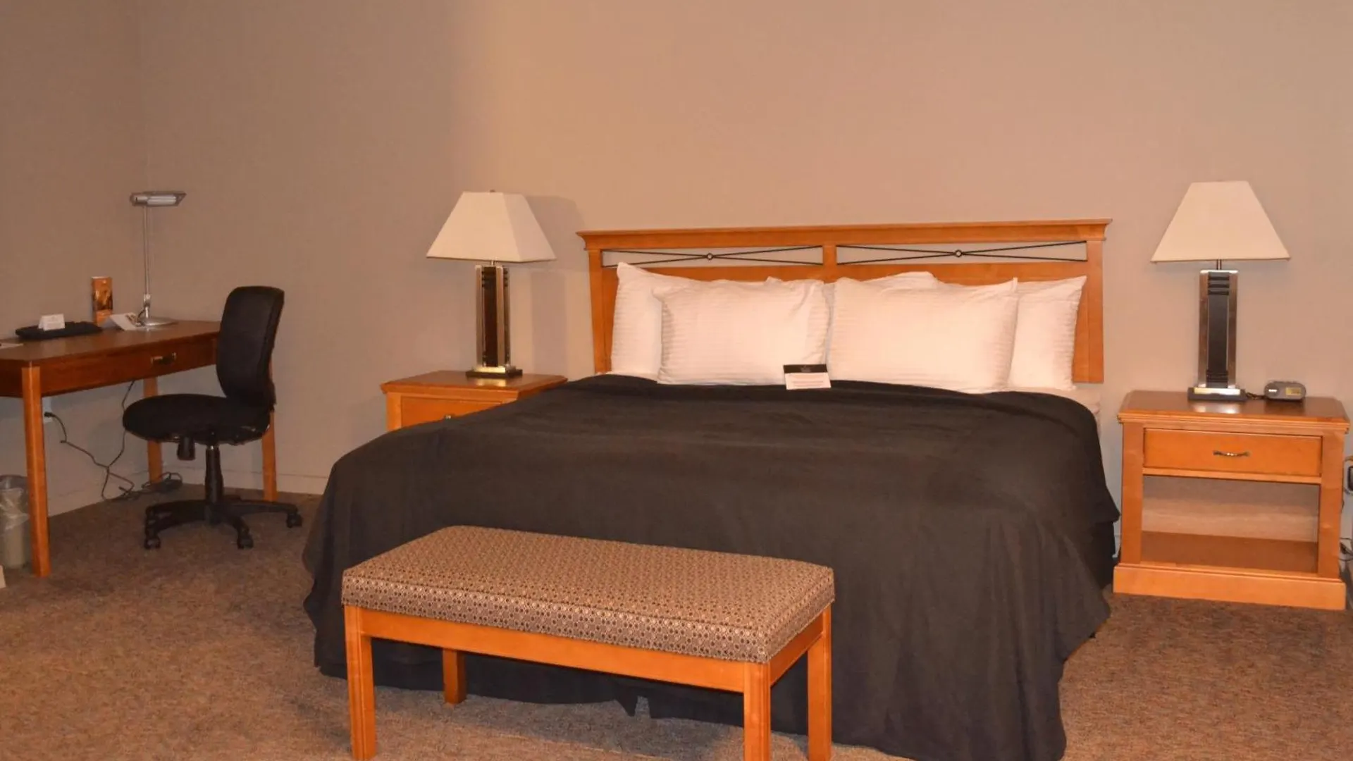 Royal Hotel West Edmonton, Trademark Collection By Wyndham